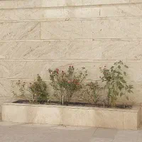 اجاره سوئیت روزانه و هفتگی|اجارهٔ کوتاهمدت آپارتمان و سوئیت|کرمان, |دیوار