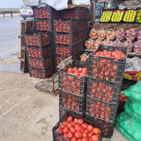 گوجه به قیمت گوجه ربی ۱۰تومان وتربار حراجی|حراج|گنبد کاووس, |دیوار