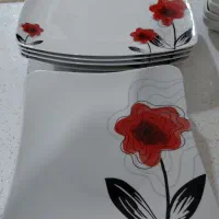 دوسرویس چینی ایتالیا