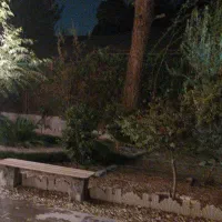 رسیدگی به گل های آپارتمانی و باغچه و تعویض گلدان|خدمات باغبانی و درختکاری|شاهین‌شهر, خانه کارگر|دیوار