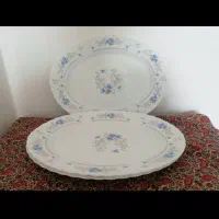 ظروف پذیرایی|ظروف سرو و پذیرایی|تنکابن, |دیوار