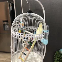فروش قفس گرد پایه دار سفید