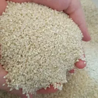 برنج عنبربو اصل شوشتری|خوردنی و آشامیدنی|بوشهر, |دیوار