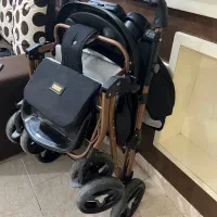 کالسکه دلیجان درحد