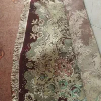 دوتا فرش دوازده متری|فرش|علیآباد کتول, |دیوار