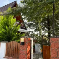 اجاره ویلا سوئیسی استخر دار لوکس (کد۱۶)تضمینی|اجارهٔ کوتاهمدت ویلا و باغ|فومن, |دیوار