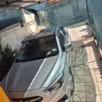 شاهین نقره ایی ۱۴۰۰