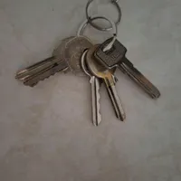 دسته کلید گم کردم