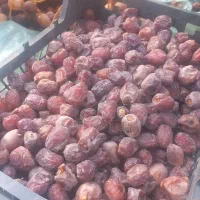 خرما مرداسنگ و مضافتی|خوردنی و آشامیدنی|بلوک, |دیوار