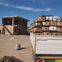 ذغال قلیانی وکبابی|عمدهفروشی|شال, |دیوار