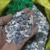 سنگ آکواریوم|ماهی|خرمشهر, |دیوار