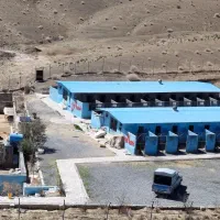 کارگر جهت پرورش سگ نگهبان