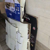 کارتن
