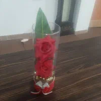 یه عدد تنور گازی