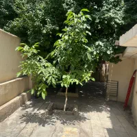 اجاره-خونه-ویلایی