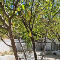 خانه باغ دو خابه