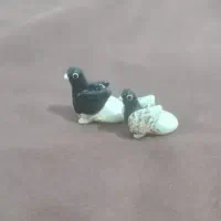 دو شنبه یال قهوه ای گم کردم