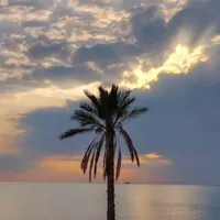 آزمون آموزش وپرورش