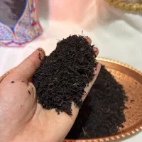 چای سرگل بهاره ۱۴۰۵