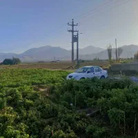 زمین کشاورزی و باغی به متراژ ده هزار و سیصد متر|فروش دفتر صنعتی، کشاورزی، تجاری|همدان, |دیوار