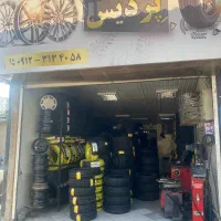 لاستیک دولتی