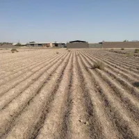 زمین جهت دامداری یا گلخانه