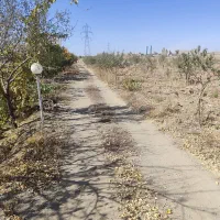 باغ انگور و باغ بادام دارای استخروامتیاز برق