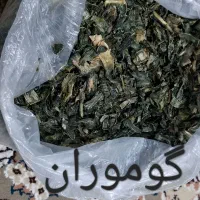 گلپر کوهی .پونه کوهی.قوچ اوتو.گوموران|خوردنی و آشامیدنی|قم, سید معصوم|دیوار