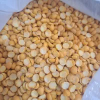 حبوبات|خوردنی و آشامیدنی|شیراز, شهرک مدرس|دیوار