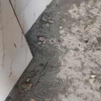 انجام کارهای ساختمانی کاشی کاری کف|خدمات پیشه و مهارت|اسدآباد, |دیوار