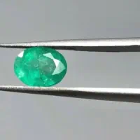 زمرد زامبیا