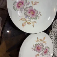 ۲عدد دیس چینی شیرینی خوری
