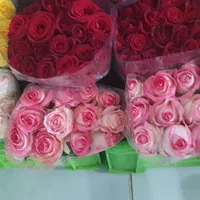 دسته گل و باکس|گل و گیاه طبیعی|شیراز, کاراندیش|دیوار