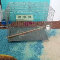 قفس کوچک پرنده|لوازم جانبی حیوانات|دابودشت, |دیوار