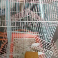 حراج وسایل|حراج|اراک, |دیوار