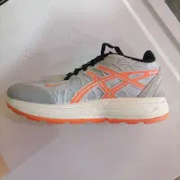 اسیکس اسپرت