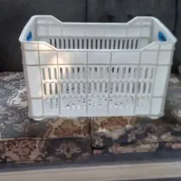 سبد میوه|ظروف نگهدارنده، پلاستیکی، یکبارمصرف|شریفآباد, |دیوار