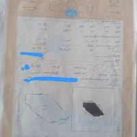 باغچه-مارنج