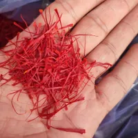 زعفران درجه یک محصول خودمون|خوردنی و آشامیدنی|رشت, بازار|دیوار