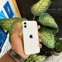 آیفون ۱۲ نرمال zaa