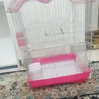 قفس پرنده تر و تمیز|لوازم جانبی حیوانات|اسلامشهر, مسکن مهر اسلاشهر (شهرک امام خمینی)|دیوار