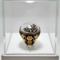 شجر کلکسیونی شیخی اردبیلی
