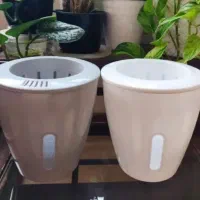 گلدان هیدروپونیک|گل و گیاه طبیعی|آمل, |دیوار