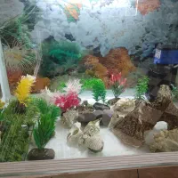 وسایل آکواریوم .