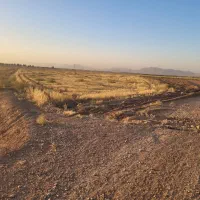 زمین کشاورزی با امکانات کامل|فروش زمین و ملک کلنگی|مبارکه, |دیوار