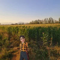 سیلوذرت‌کشت‌دوم