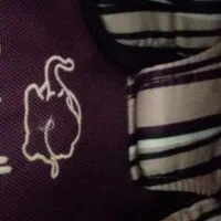 کالسکه فروشی|کالسکه و لوازم جانبی|مشهد, بهمن|دیوار