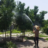 سمپاشی باغ و درختان میوه توسط مرکز خدمات سم پاشی