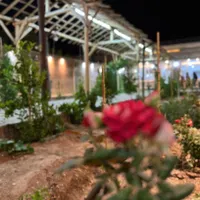 مسافرین محترم تهرانی