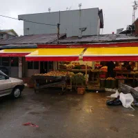 تولیدی سایبان(شهریاری)|خدمات پیشه و مهارت|بندر انزلی, طالب آباد|دیوار